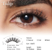 Tulip