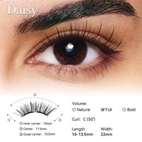 Daisy